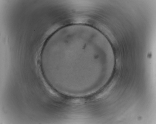 X0000103140721200809192005