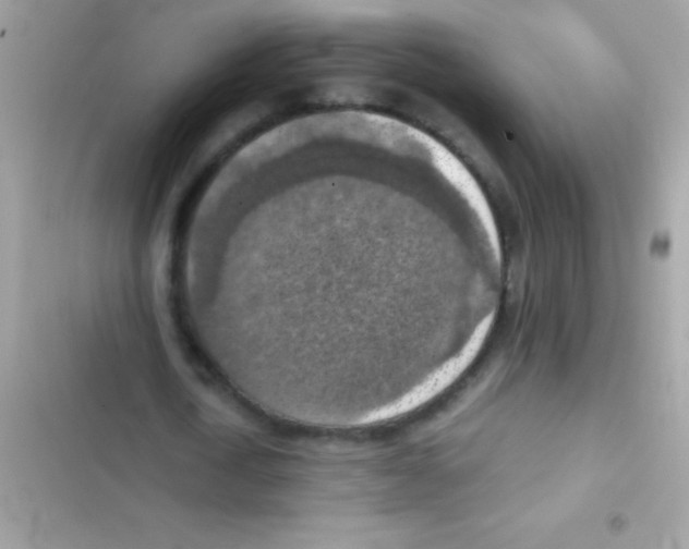 X0000103140722200809192005