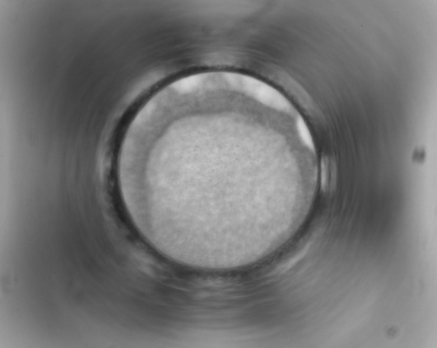 X0000103140723200809192005