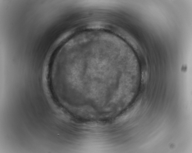 X0000103140724200809192005