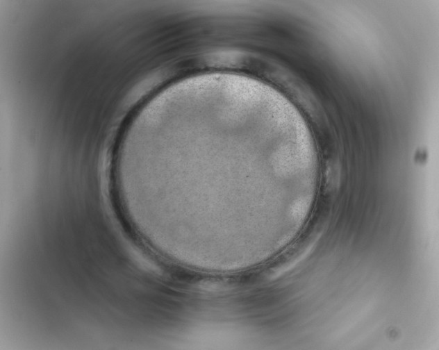 X0000103140725200809192005