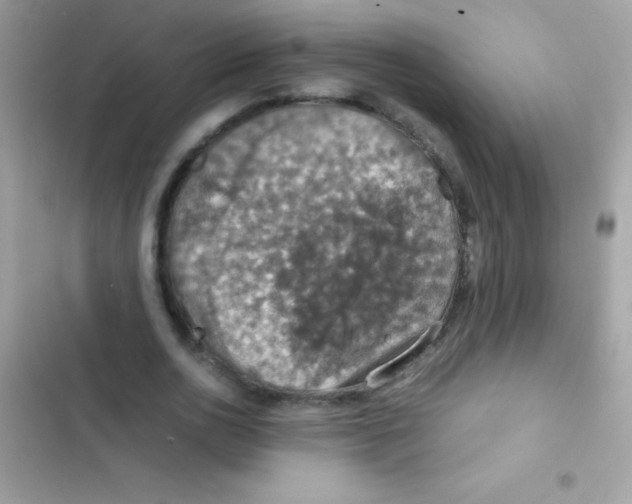 X0000103140726200809192005