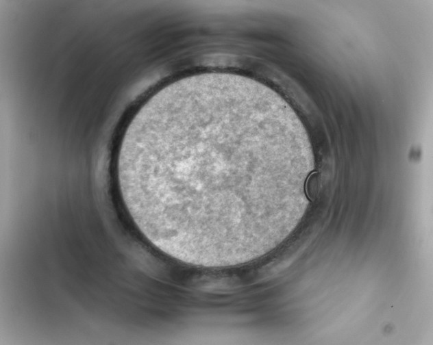 X0000103140727200809192005