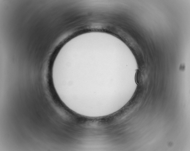 X0000103140728200809192005