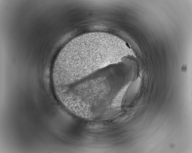 X0000103140729200809192005