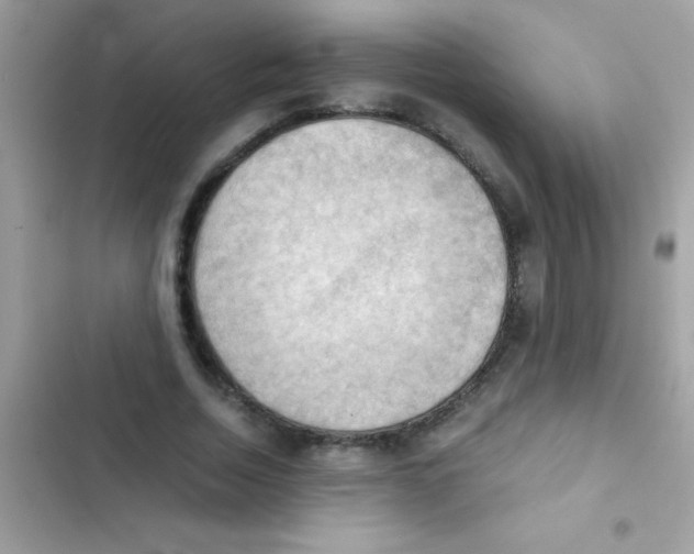 X0000103140730200809192005