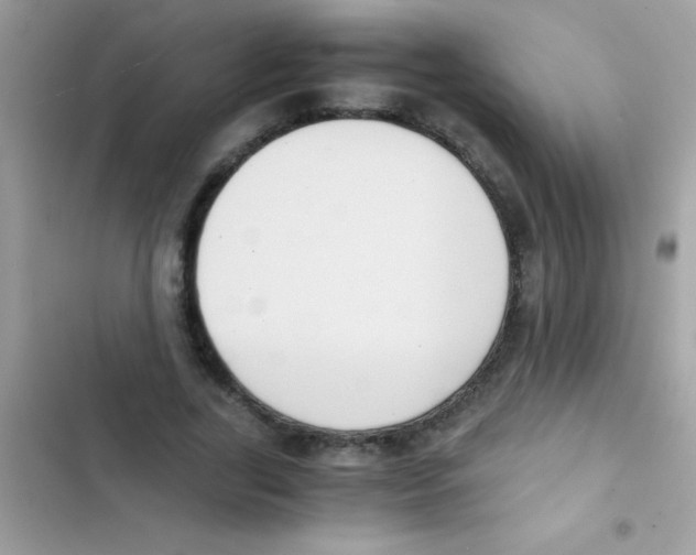 X0000103140731200809192005