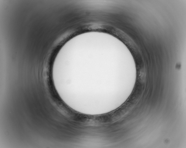 X0000103140732200809192005