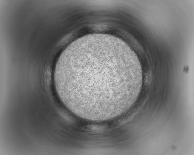 X0000103140733200809192005