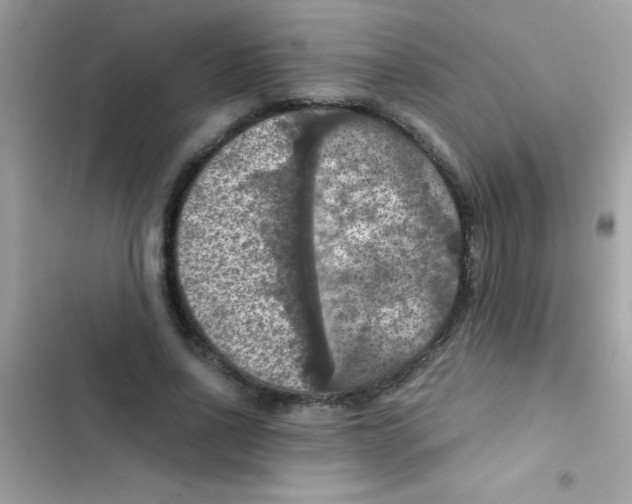 X0000103140734200809192005