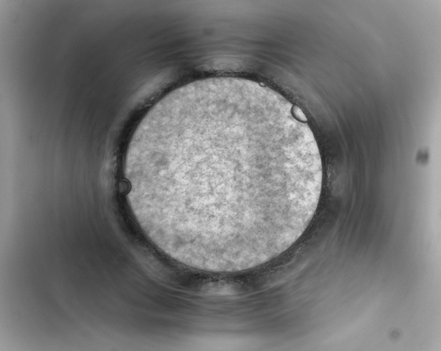 X0000103140735200809192005