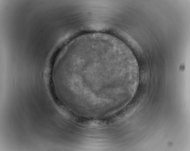 X0000103140736200809192005