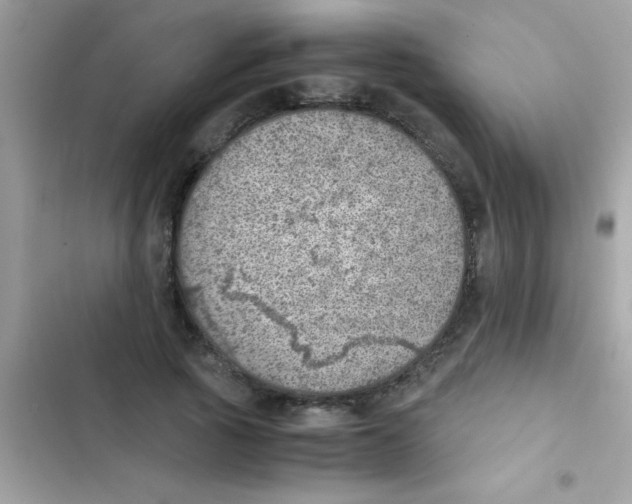 X0000103140737200809192005