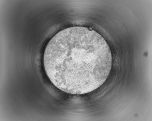 X0000103140738200809192005