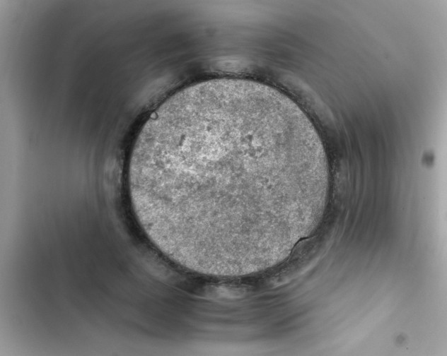 X0000103140739200809192005