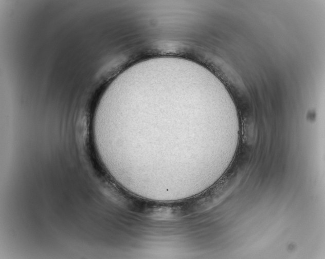 X0000103140740200809192005