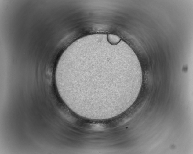 X0000103140741200809192005