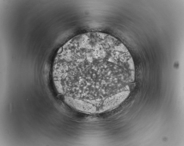 X0000103140742200809192005