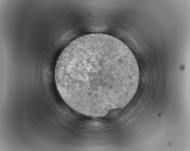 X0000103140743200809192005