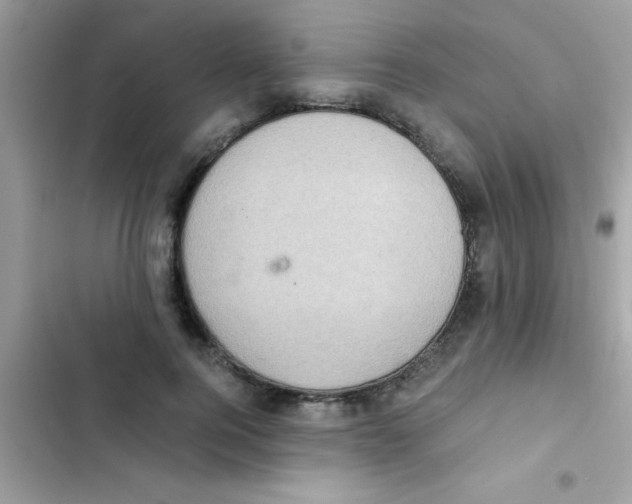 X0000103140744200809192005