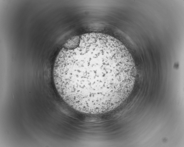 X0000103140745200809192005