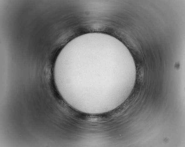 X0000103140746200809192005