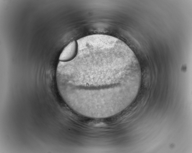 X0000103140747200809192005