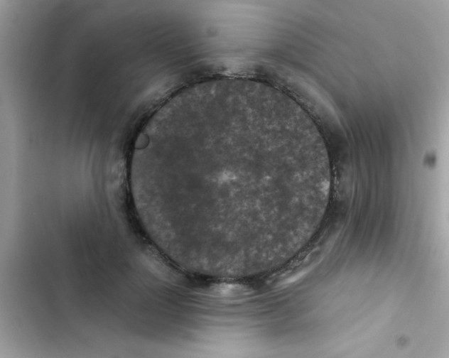 X0000103140748200809192005