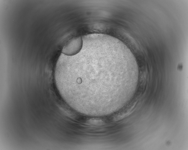 X0000103140749200809192005