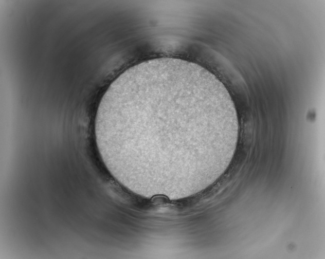 X0000103140750200809192005