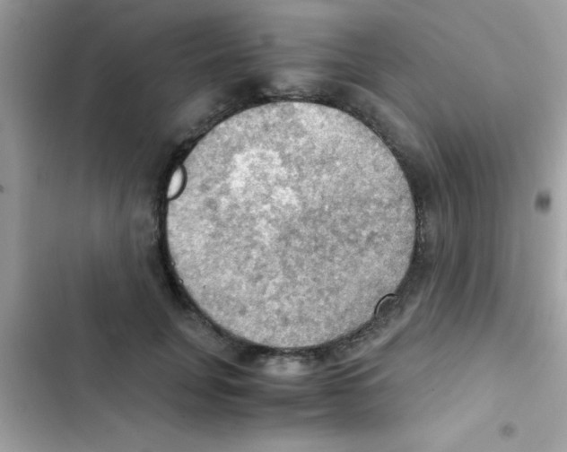 X0000103140751200809192005