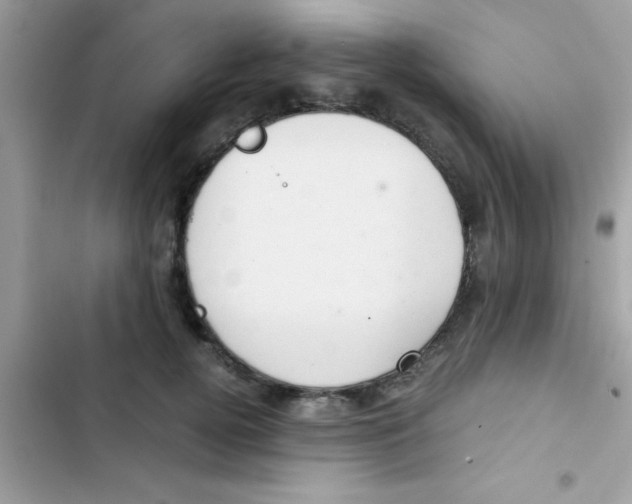 X0000103140752200809192005