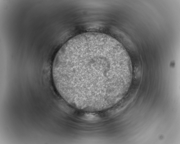 X0000103140753200809192005