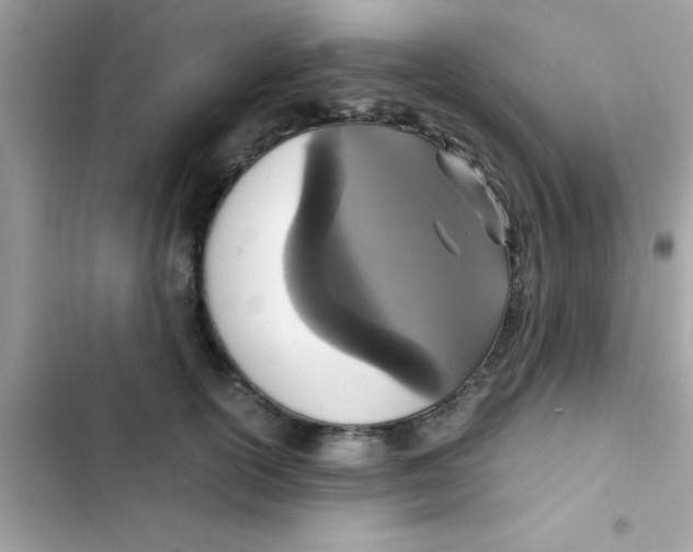 X0000103140754200809192005