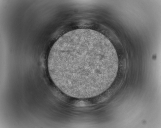 X0000103140755200809192005