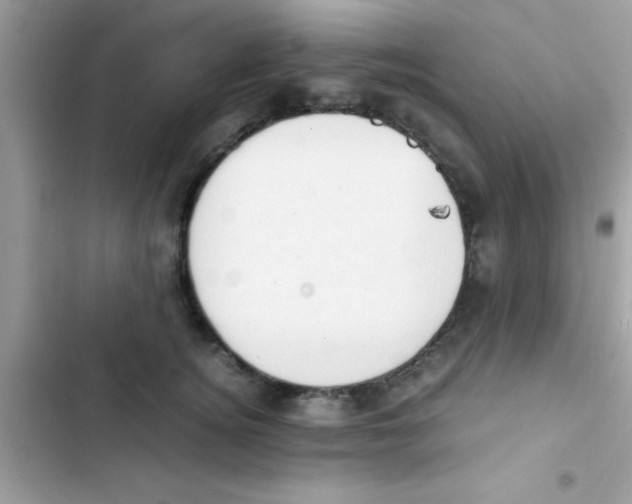 X0000103140756200809192005