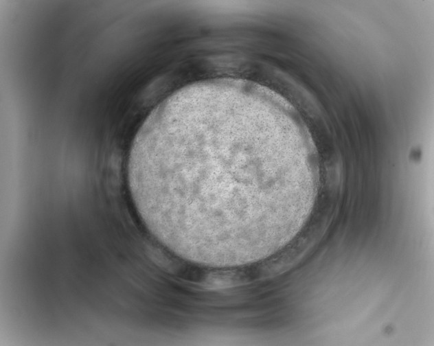 X0000103140757200809192005