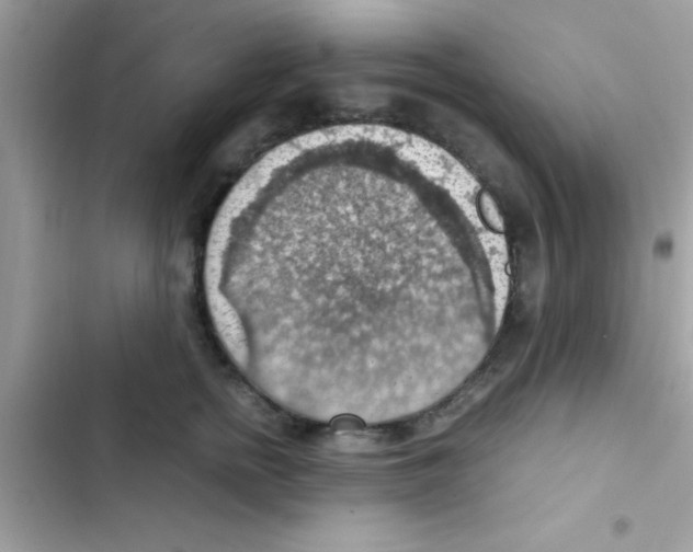 X0000103140758200809192005