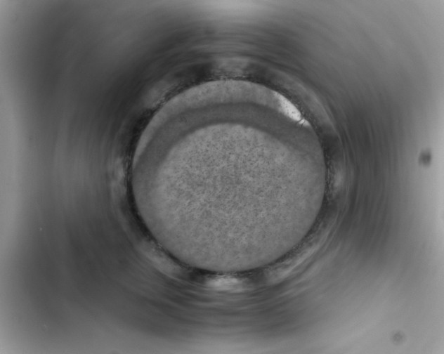 X0000103140759200809192005