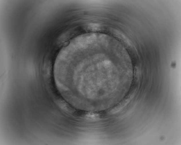 X0000103140760200809192005