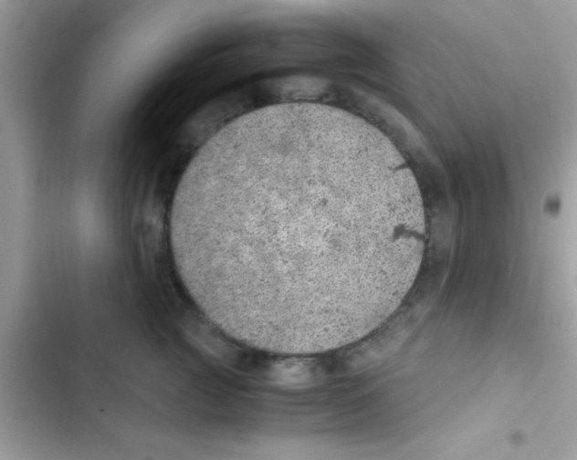 X0000103140761200809192005