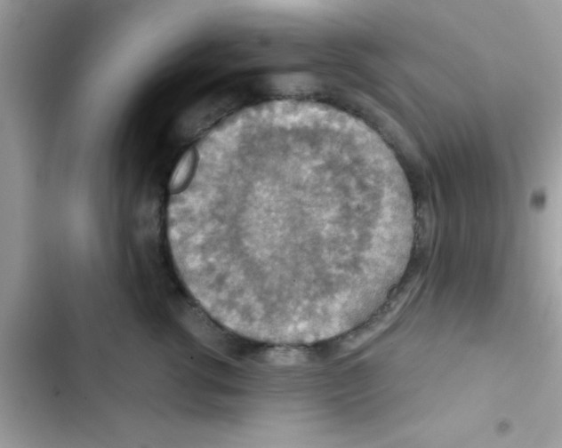 X0000103140762200809192005