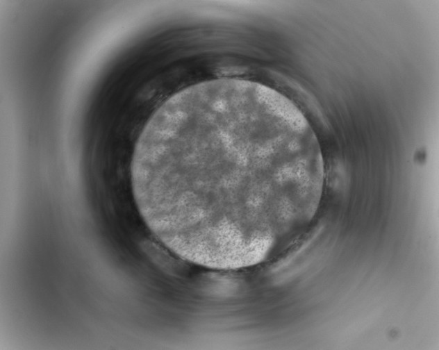 X0000103140763200809192005