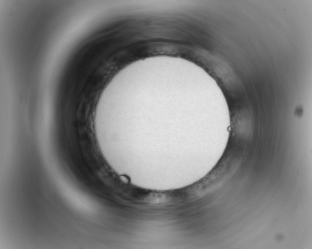 X0000103140764200809192005