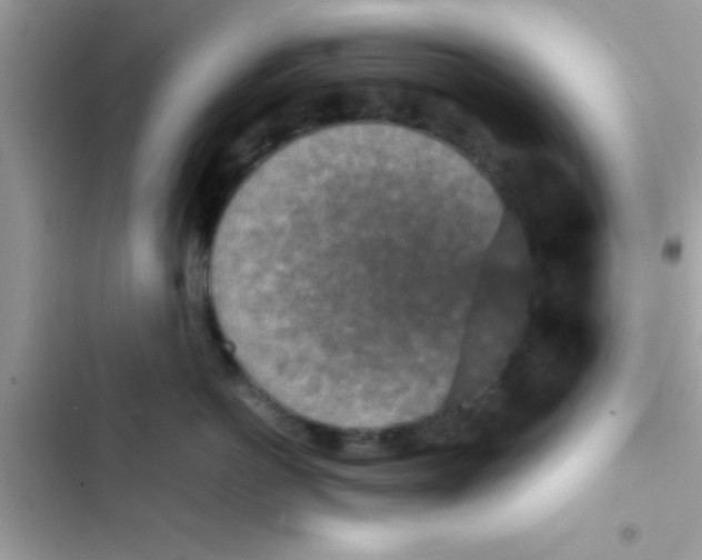 X0000103140766200809192005