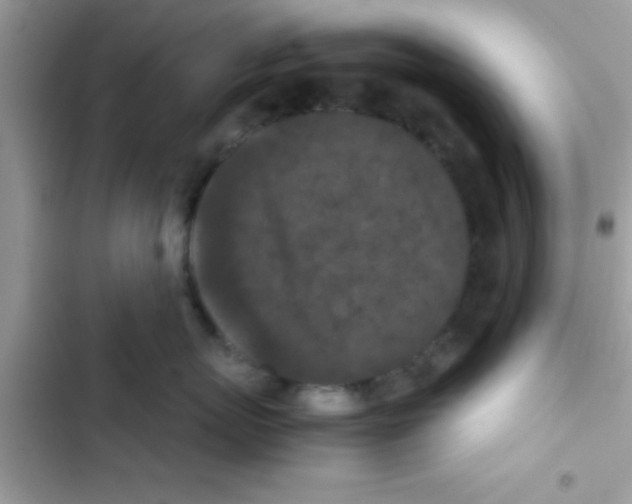 X0000103140767200809192005