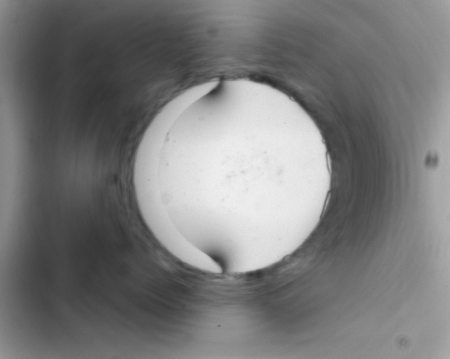 X0000103140768200809192005