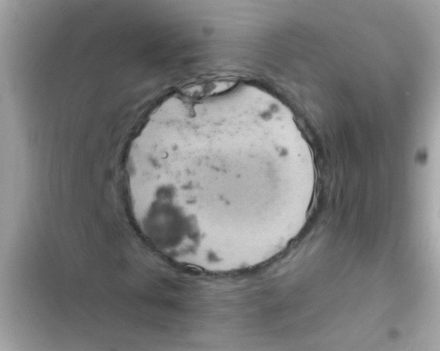 X0000103140769200809192005