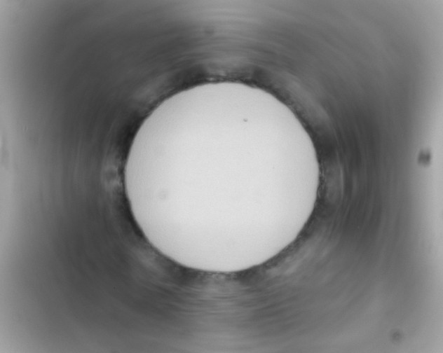 X0000103140770200809192005