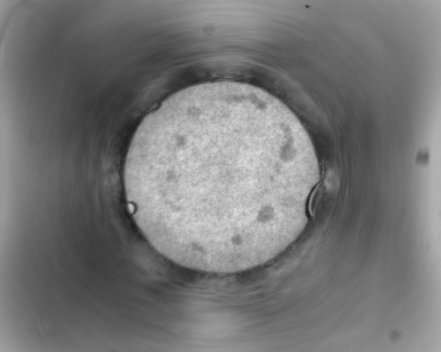 X0000103140771200809192004